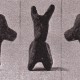 Animal weights from the Great Lakes